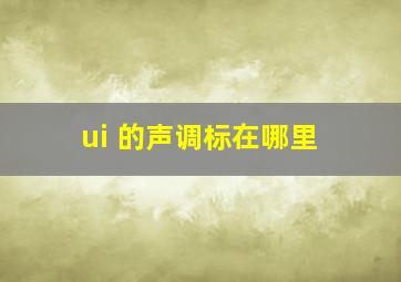 ui 的声调标在哪里